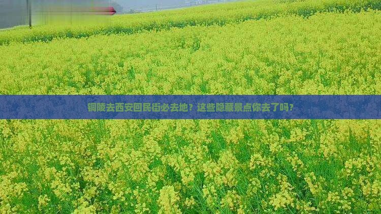铜陵去西安回民街必去地