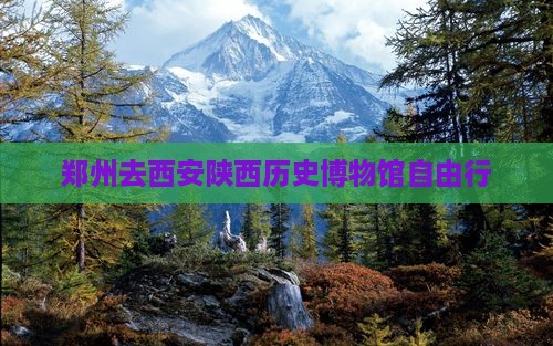 郑州去西安陕西历史博物馆自由行