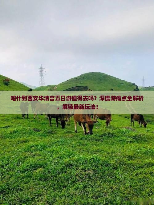 喀什到西安华清宫五日游