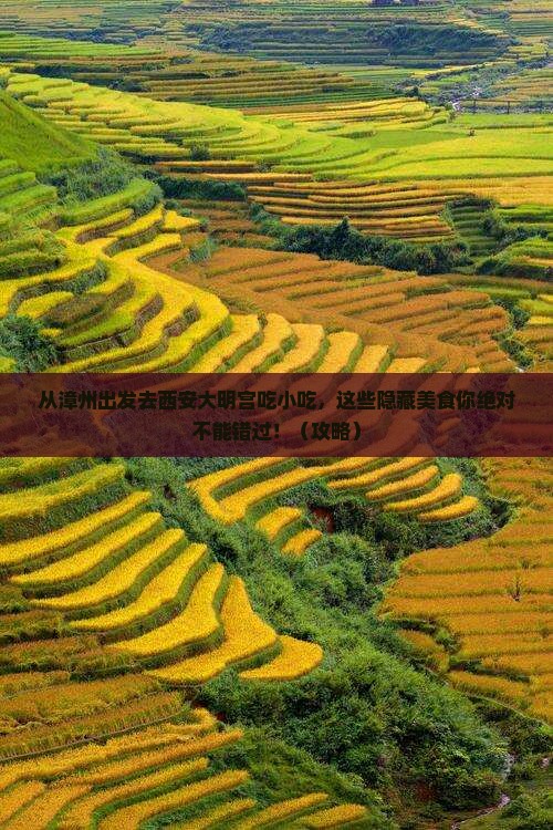 漳州去西安大明宫国家遗址公园旅游小吃