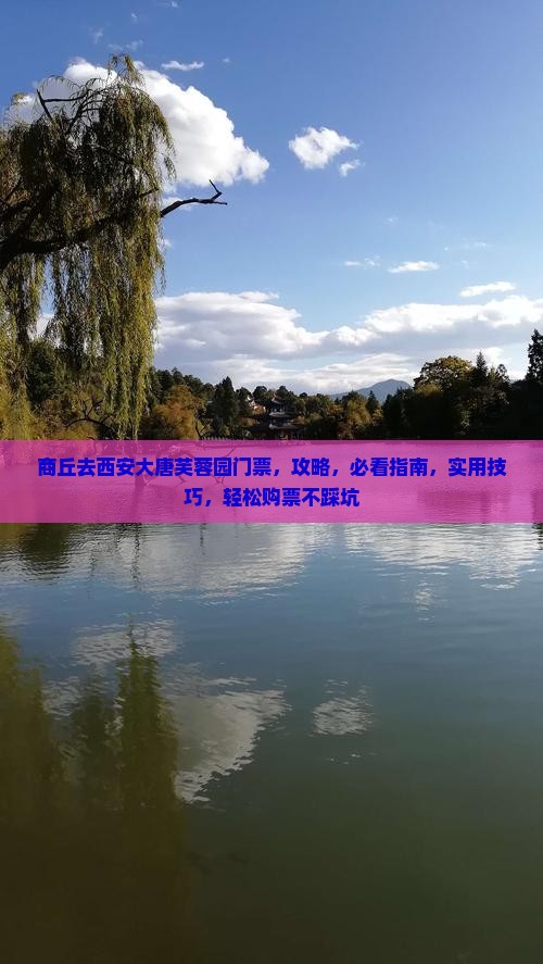 商丘去西安大唐芙蓉园门票