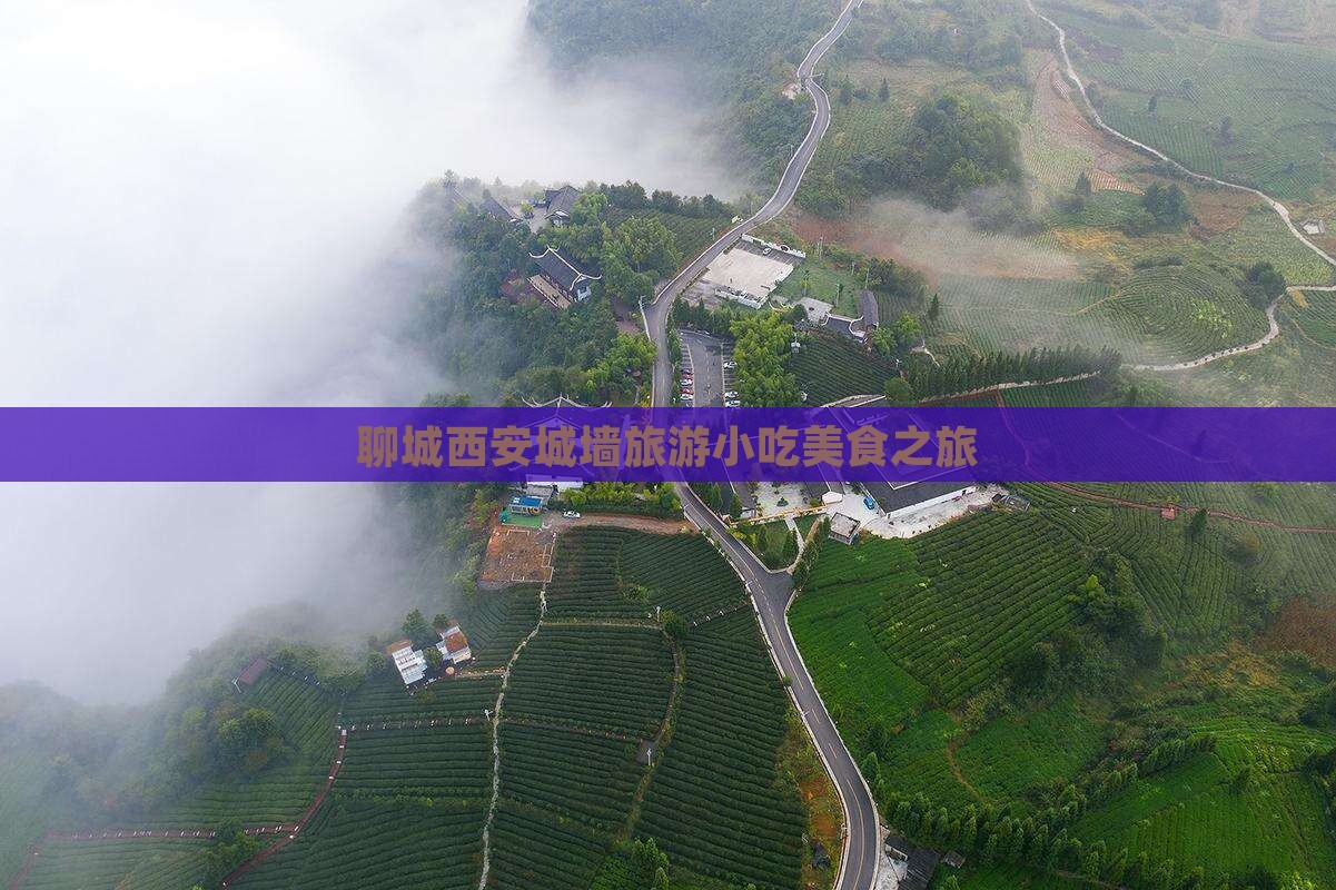 聊城到西安城墙旅游小吃