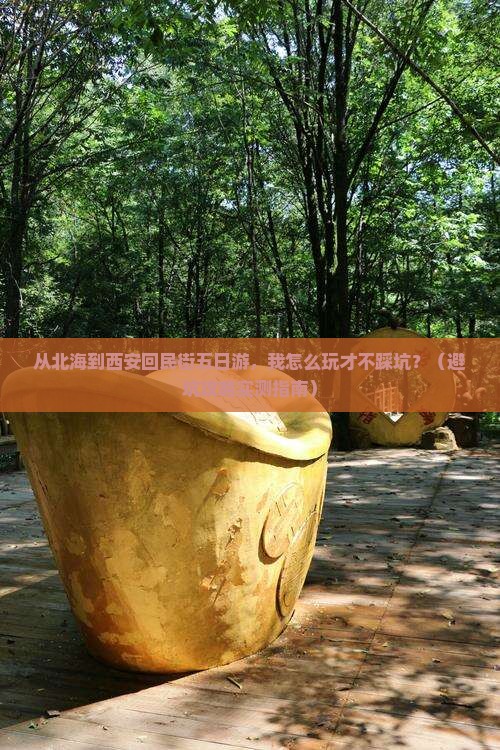 北海去西安回民街五日游