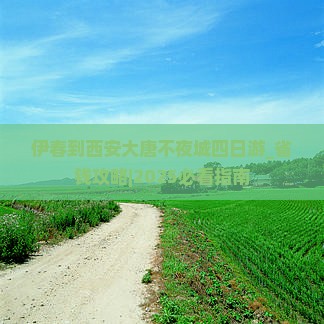 伊春到西安大唐不夜城四日游