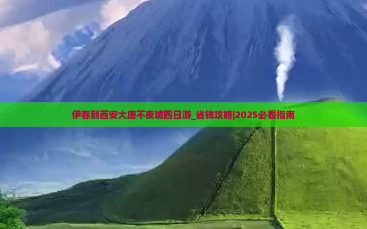 伊春到西安大唐不夜城四日游