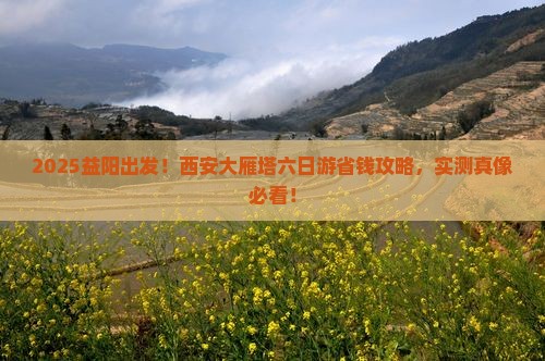 益阳去西安大雁塔六日游