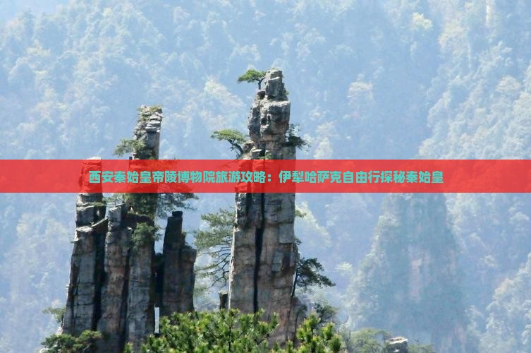 伊犁哈萨克去西安秦始皇帝陵博物院自由行