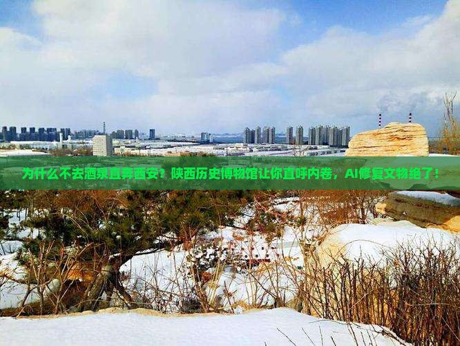 酒泉去西安陕西历史博物馆景点