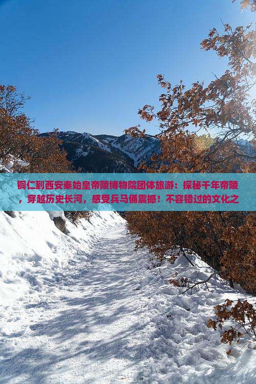 铜仁到西安秦始皇帝陵博物院团体旅游