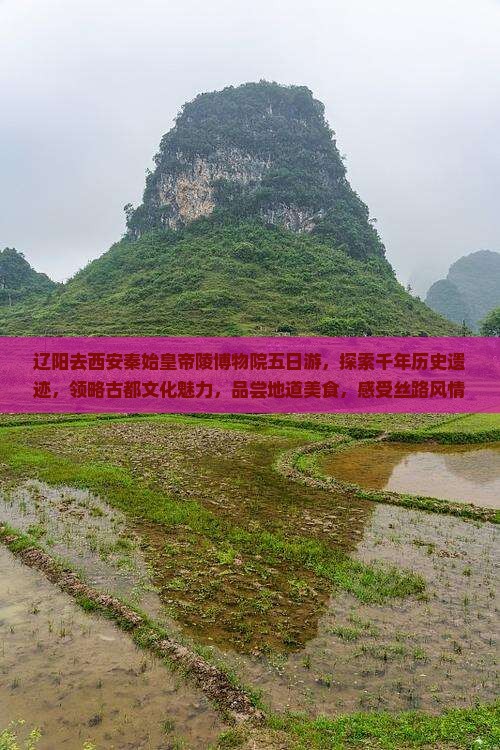辽阳去西安秦始皇帝陵博物院五日游