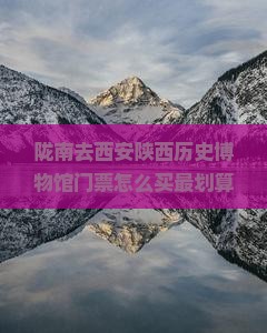 陇南去西安陕西历史博物馆门票