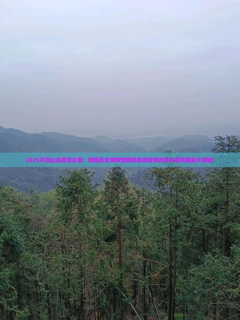 平顶山去西安陕西历史博物馆团体旅游