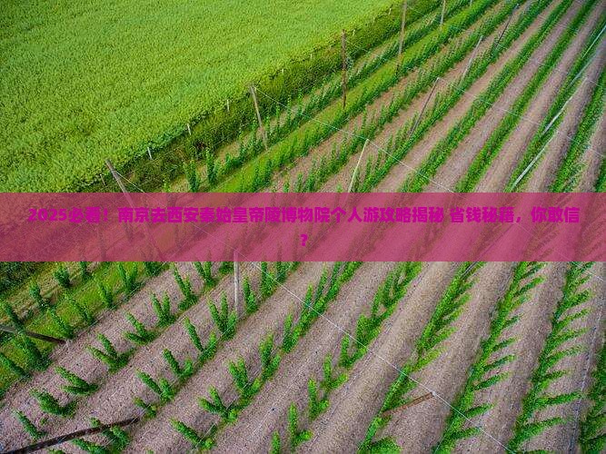 南京去西安秦始皇帝陵博物院个人游