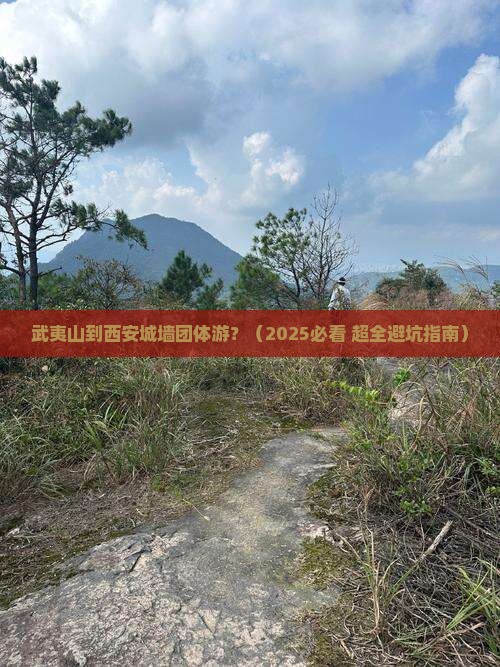 武夷山去西安城墙团体旅游