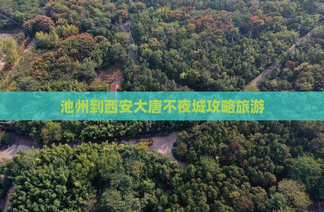 池州到西安大唐不夜城门票