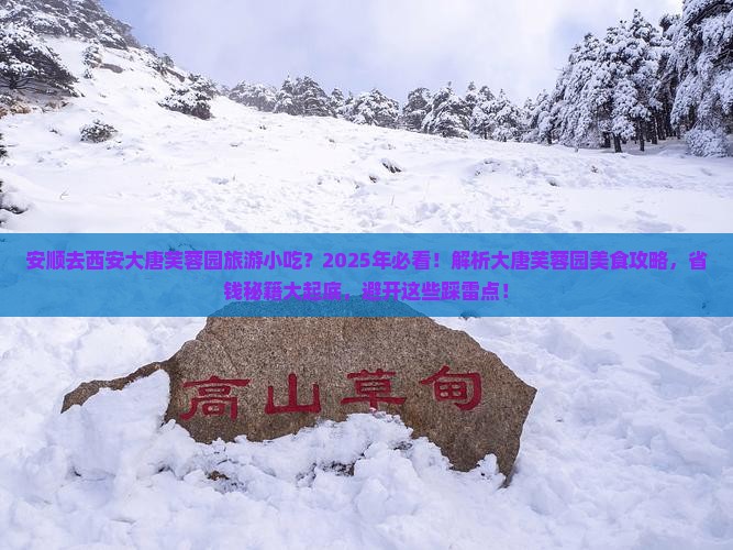 安顺去西安大唐芙蓉园旅游小吃