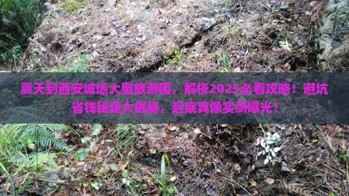 夏天到西安城墙大型旅游团