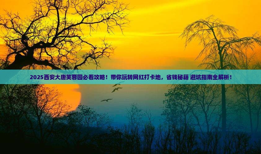 来宾去西安大唐芙蓉园哪里玩