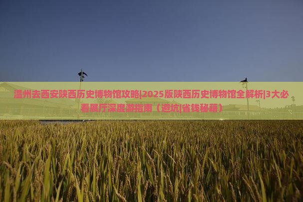 温州去西安陕西历史博物馆攻略