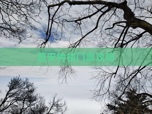 怀化去西安钟楼门票
