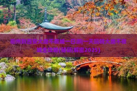 衢州到西安大唐不夜城一日游