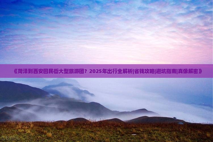 菏泽到西安回民街大型旅游团