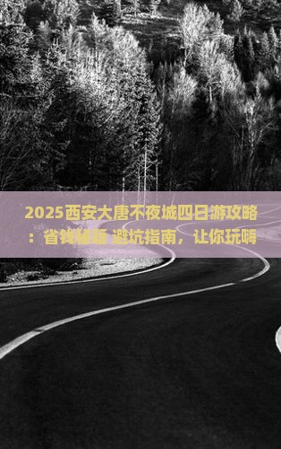 常州去西安大唐不夜城四日游