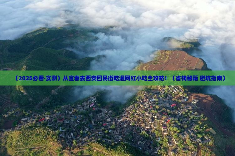 宜春去西安回民街旅游小吃