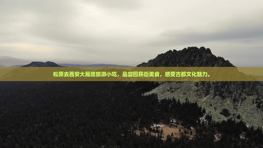 松原去西安大雁塔旅游小吃