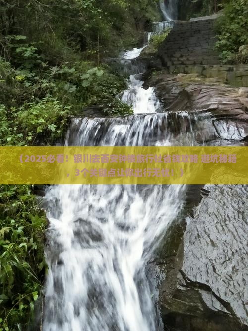 银川去西安钟楼旅行社