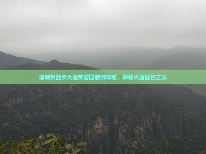 诸城到西安大唐芙蓉园旅游