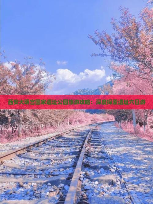 上饶去西安大明宫国家遗址公园六日游