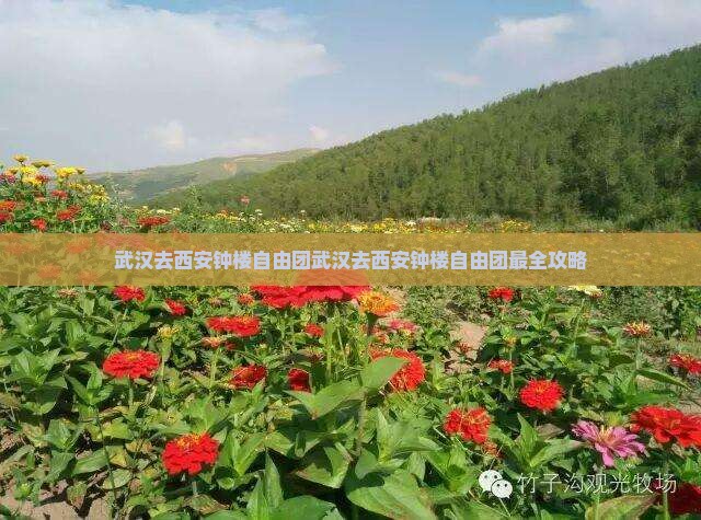 武汉去西安钟楼自由团