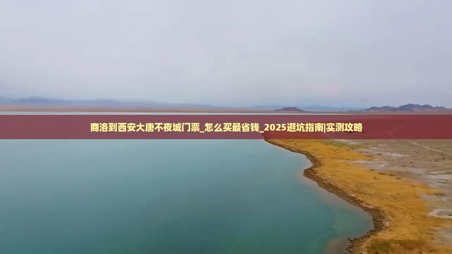 商洛到西安大唐不夜城门票