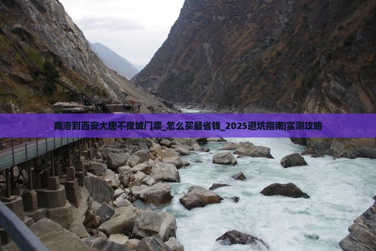 商洛到西安大唐不夜城门票