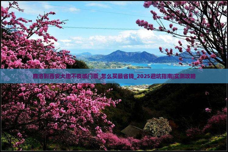 商洛到西安大唐不夜城门票
