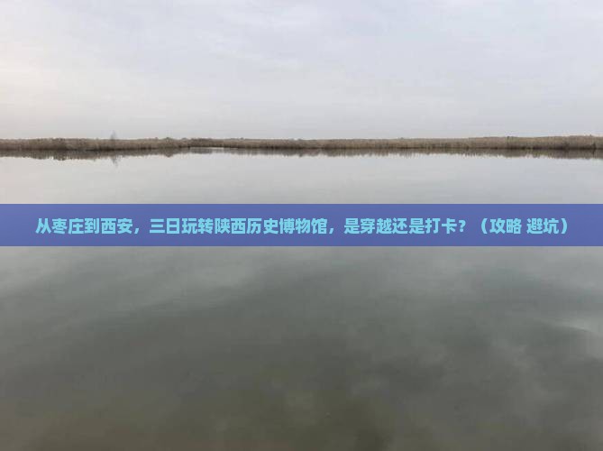 枣庄去西安陕西历史博物馆三日游