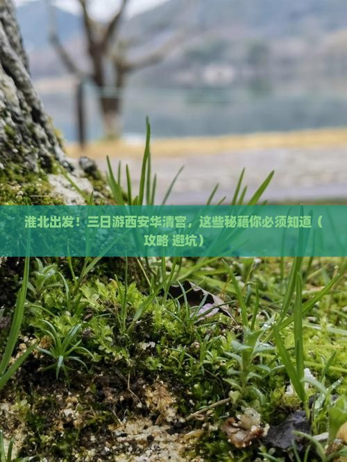 淮北到西安华清宫三日游