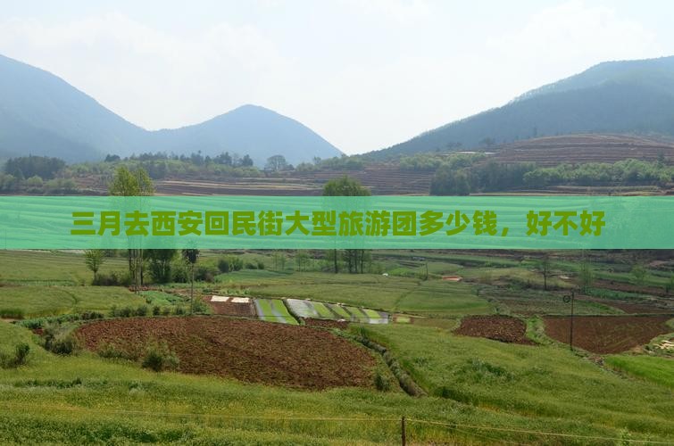 三月去西安回民街大型旅游团