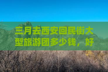 三月去西安回民街大型旅游团