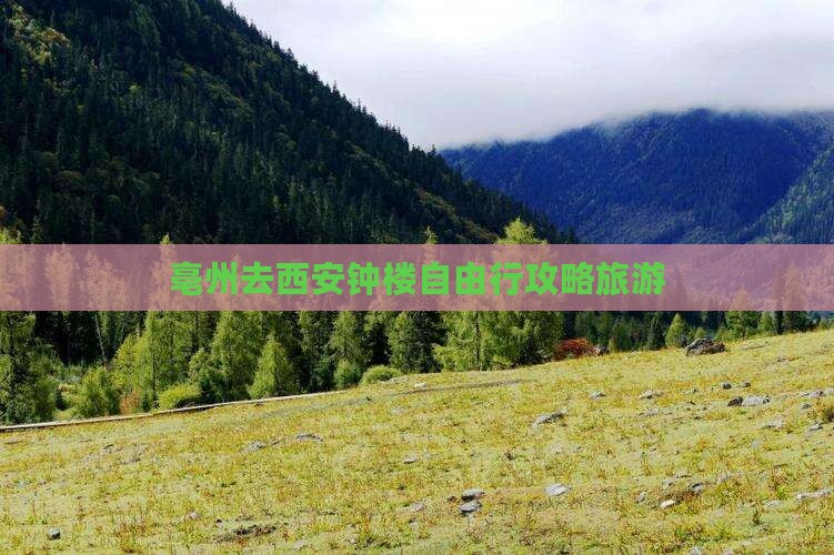 亳州去西安钟楼自由行