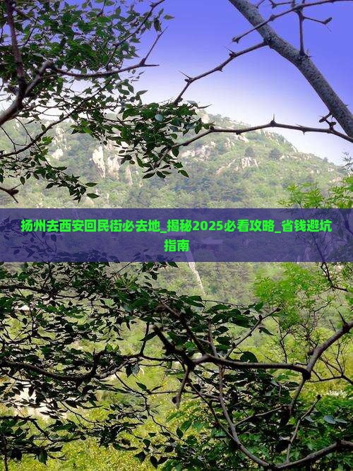 扬州去西安回民街必去地