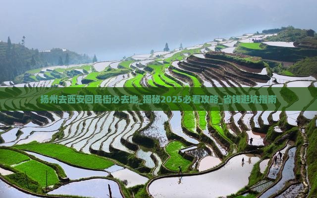 扬州去西安回民街必去地