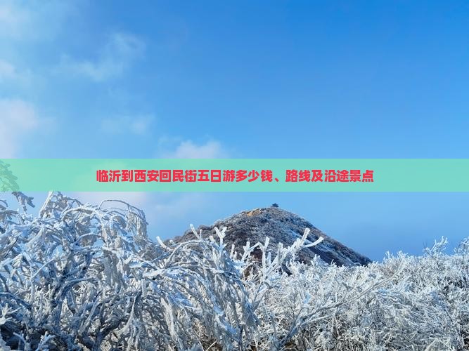 临沂到西安回民街五日游 临沂到西安回民街五日游