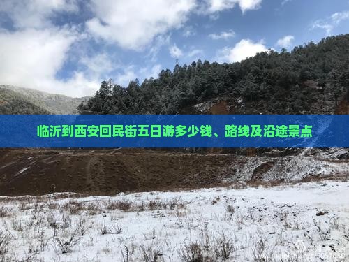 临沂到西安回民街五日游 临沂到西安回民街五日游