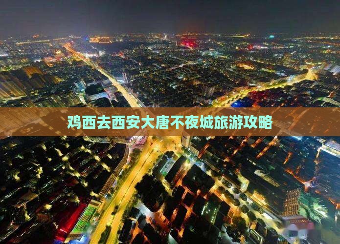 鸡西去西安大唐不夜城一日游