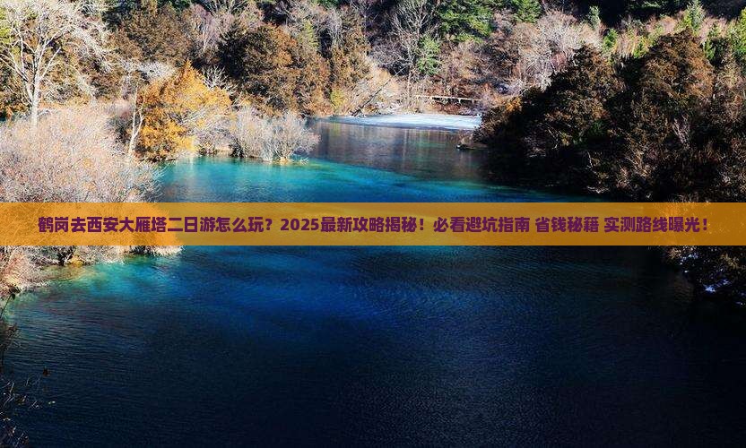 鹤岗去西安大雁塔二日游