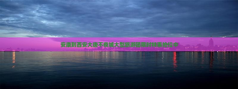 安康到西安大唐不夜城大型旅游团