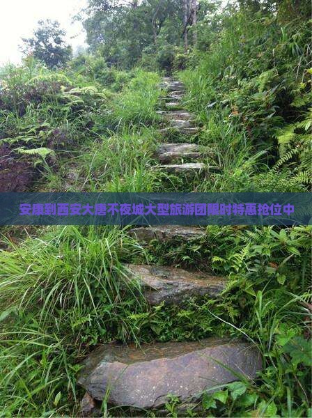 安康到西安大唐不夜城大型旅游团