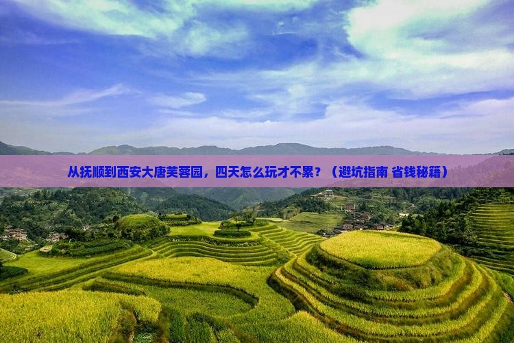 抚顺去西安大唐芙蓉园四日游